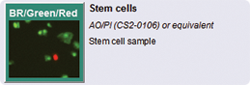 Stem Cells, image from Cellometer Auto 2000