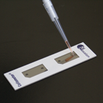 Pipette 20 µl of cell sample into a disposable counting slide