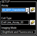 select gfp transfection assay