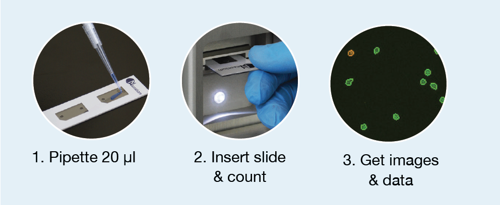 Simple Cell-Based Assays